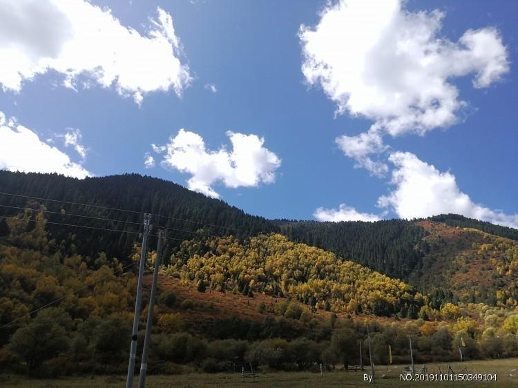 逃离大犀牛出没地