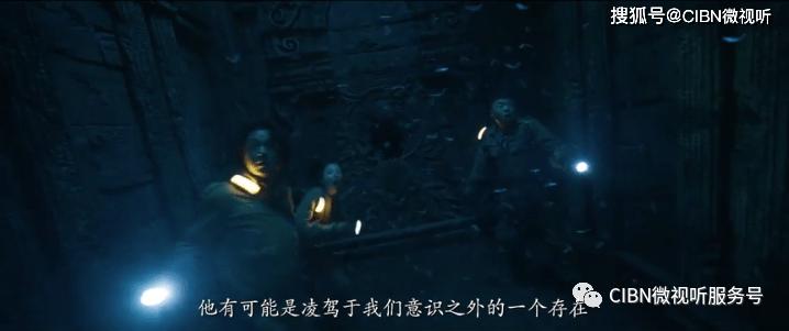 救援小孔雀