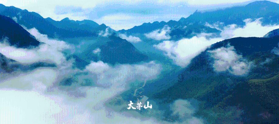 植物大战僵尸20