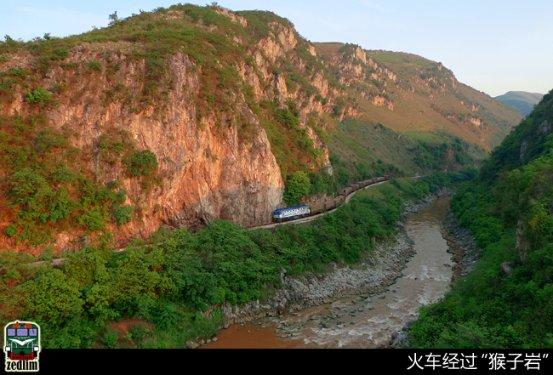萝卜加蜂蜜可以止咳化痰吗？游戏画面