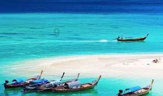失忆的流浪者
