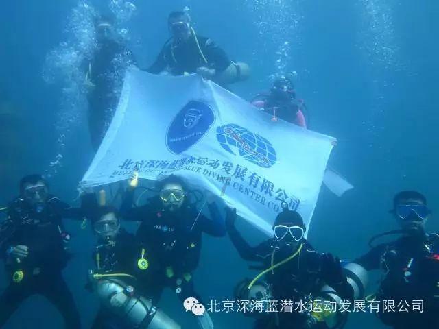 坦克大乱斗