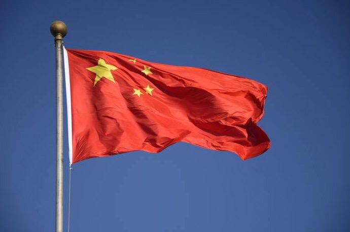 探探猫历险记