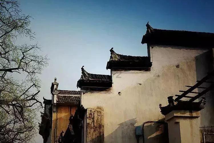 蝴蝶消消乐